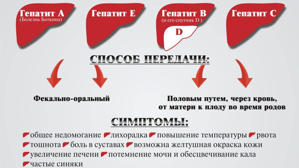 Всемирный день профилактики гепатитов - 8-я городская клиническая  стоматологическая поликлиника