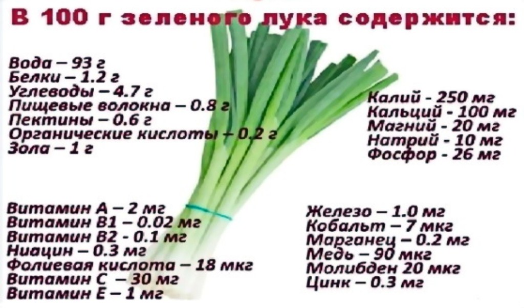 Лук репчатый углеводы. Лук зелёный состав химический витамины. Какие витамины содержатся в зеленом луке.