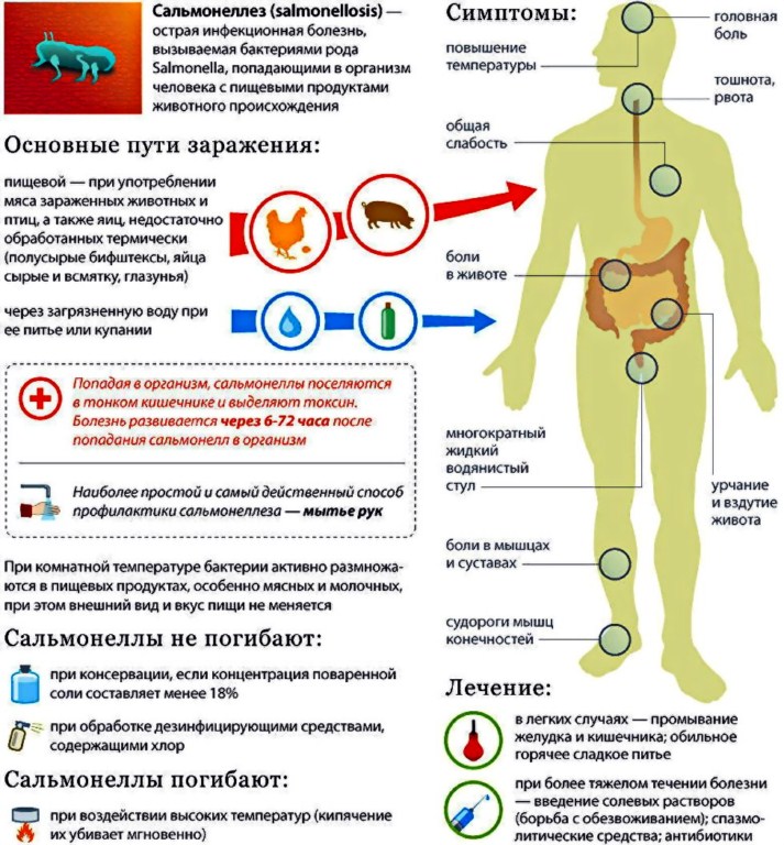 Передача ветрянки